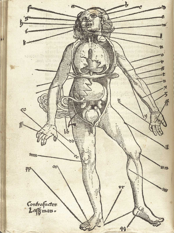 blood letting points